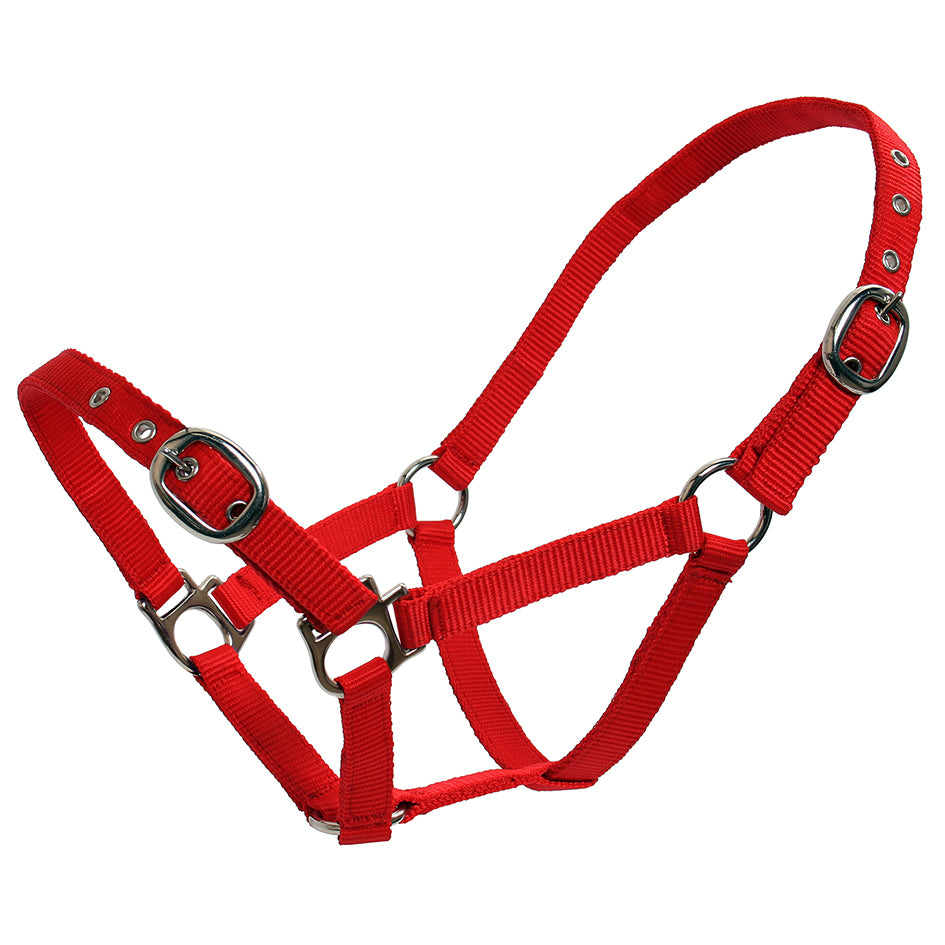 BLUE TAG Web halter