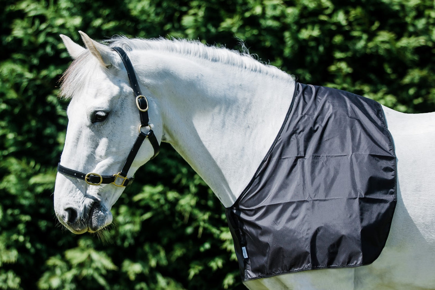 FLAIR Nylon anti rub vest