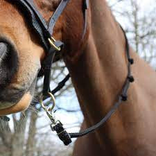 Chevalier non slip poly rein