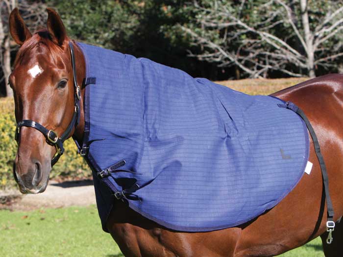 ZILCO Blue mountain neck rug