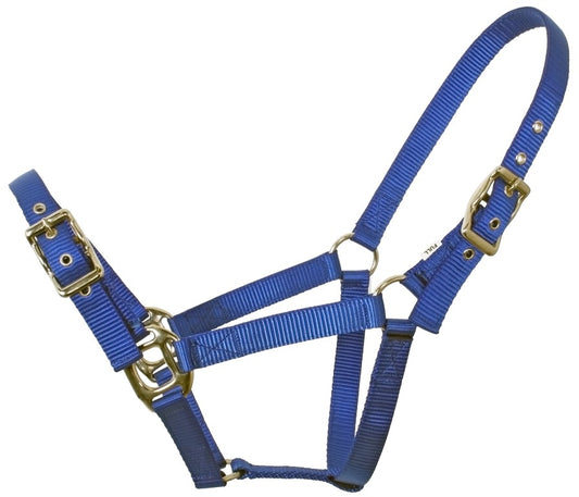 FLAIR Heavy duty web halter