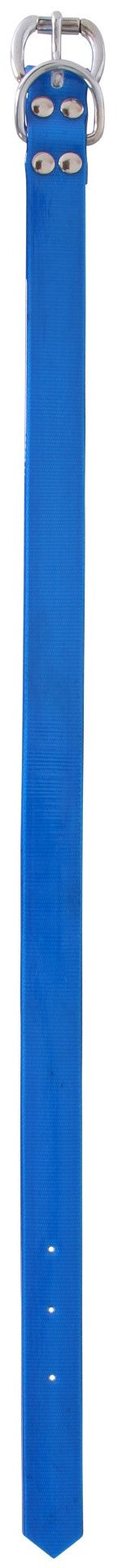 Flair 25 mm PVC Web Collar