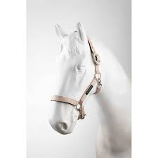 B//VERTIGO Hardwick Halter