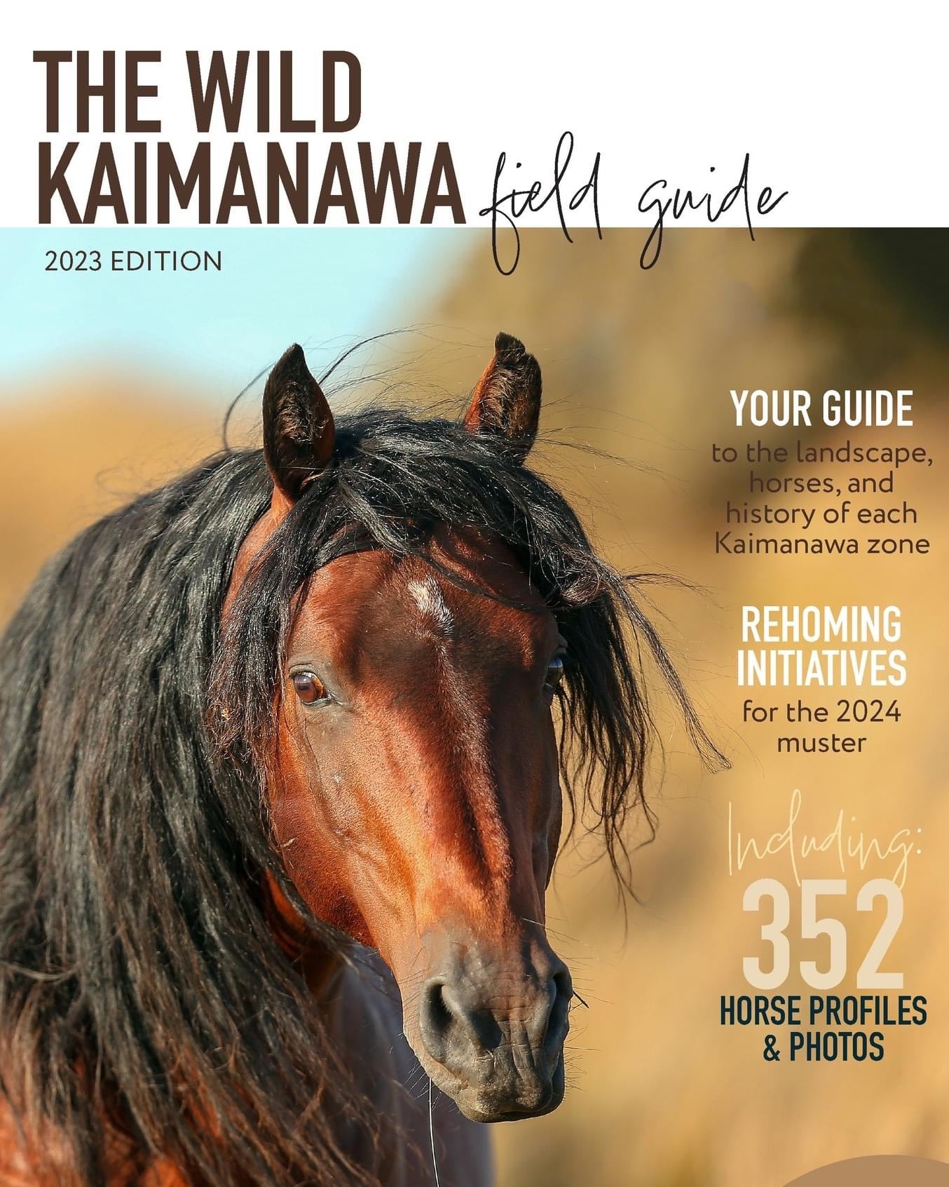 The Wild Kaimanawa Marlborough Equestrian Barn