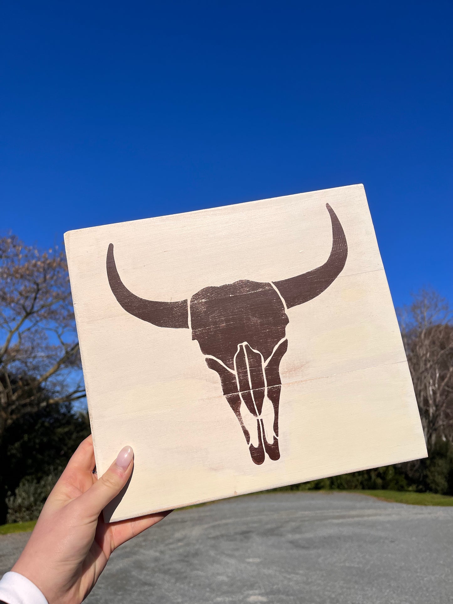 PS DESIGN Longhorn board