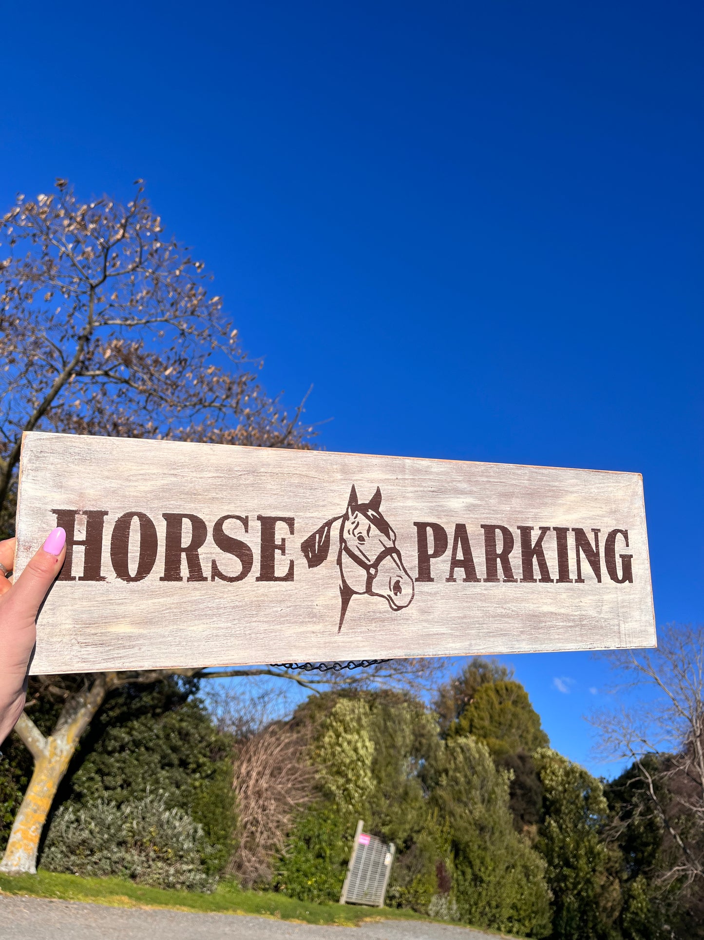 Horse Parking (Outdoor)