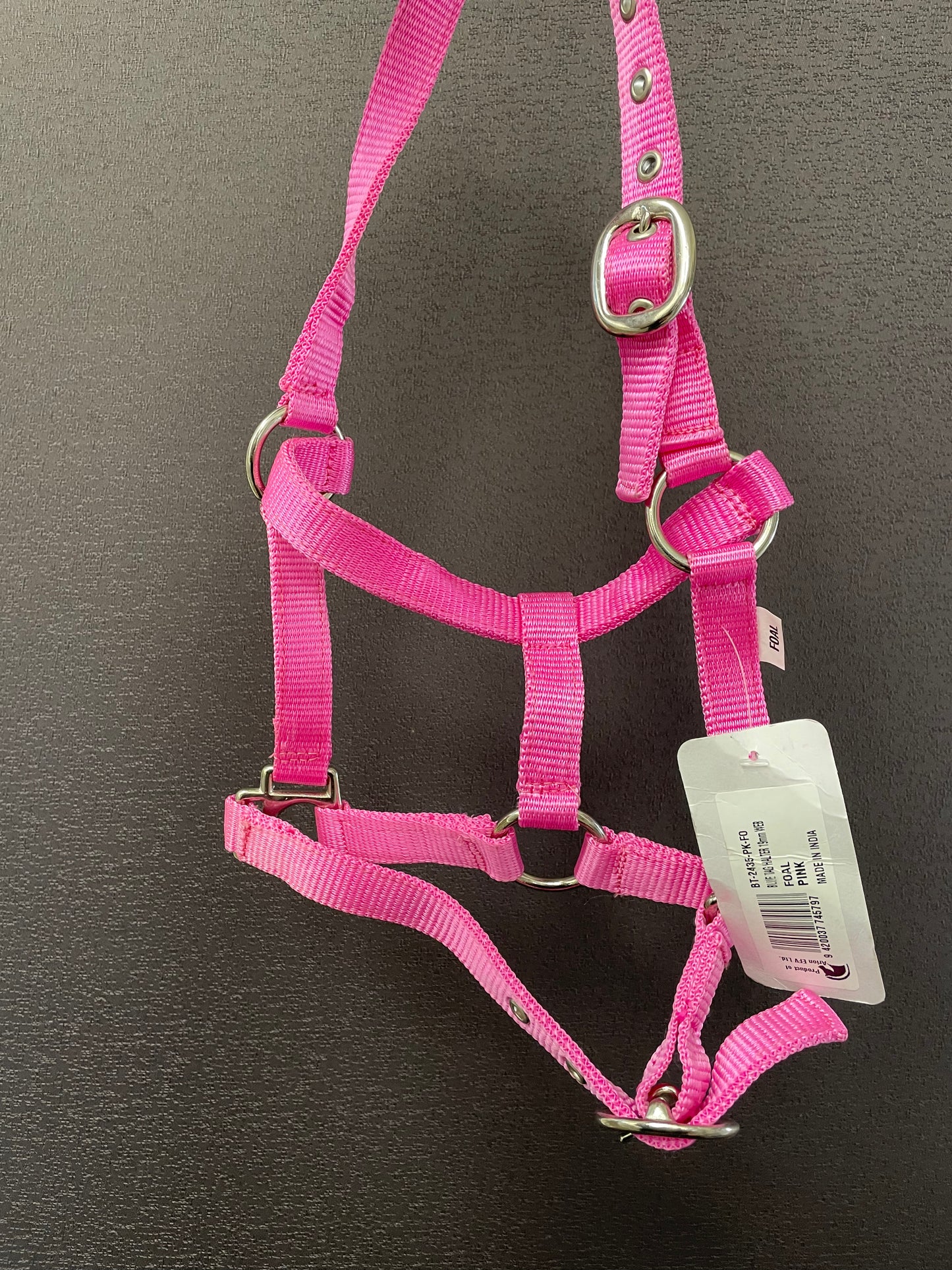 BLUE TAG Web halter