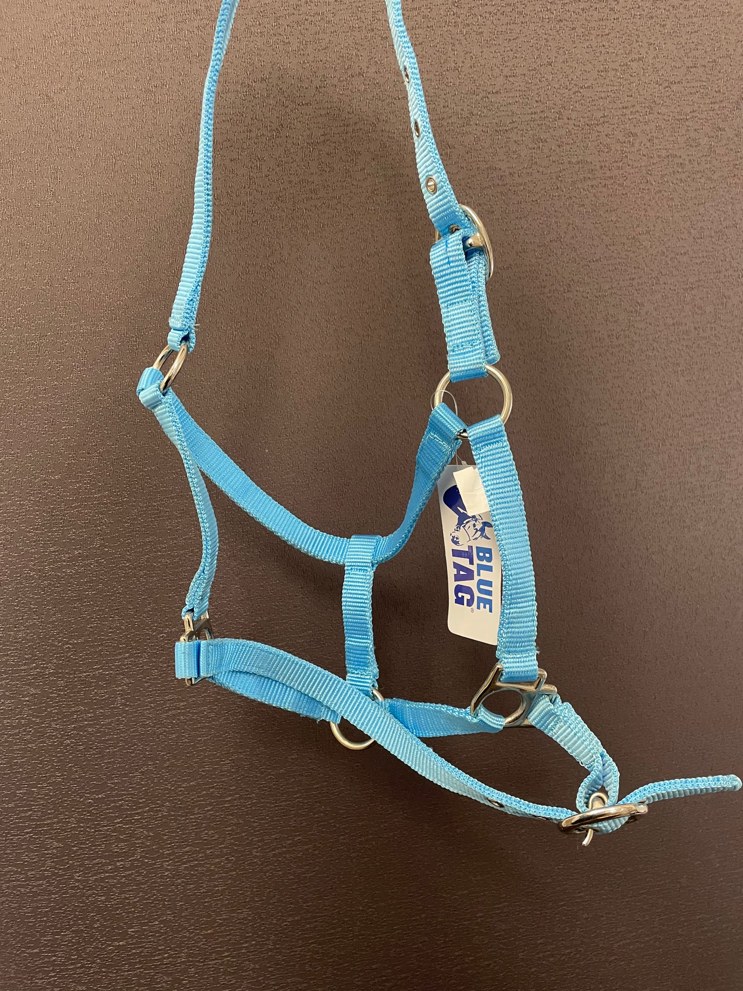 BLUE TAG Web halter’s