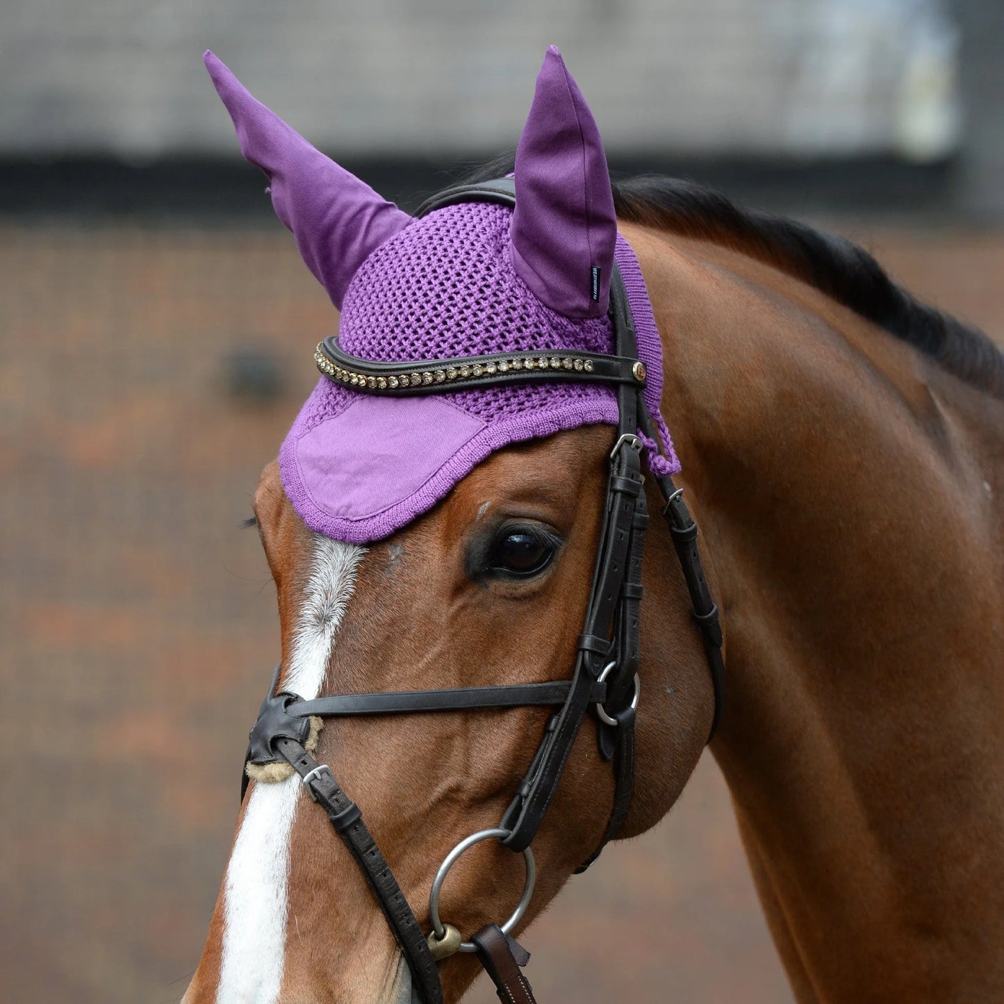 WEATHERBEETA Prime ear net