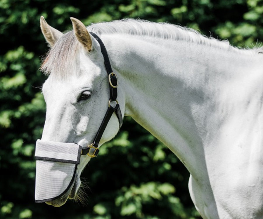 FLAIR Mesh Nose Shade