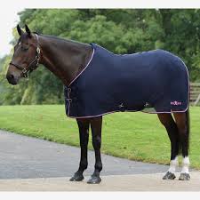 SAXON Element net cooler