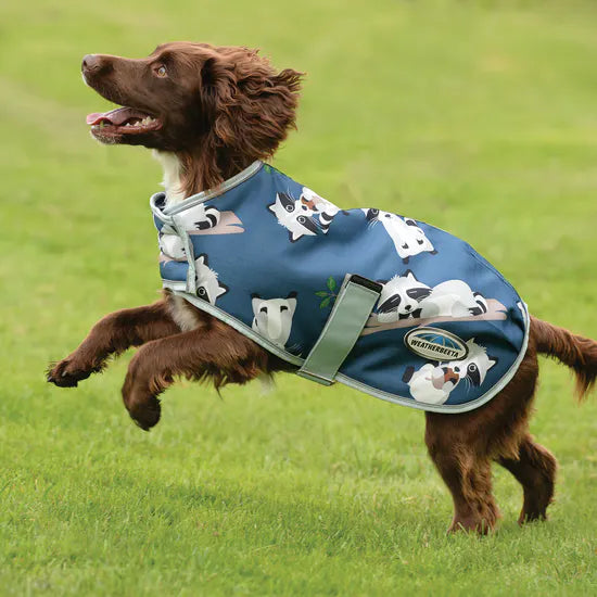 WeatherBeeta ComFitec Premier Free Parka Racoon
