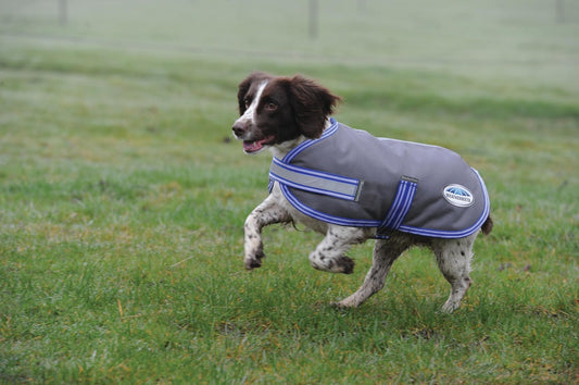 WEATHERBEETA ComFitec Thermi-Heat Dog Coat