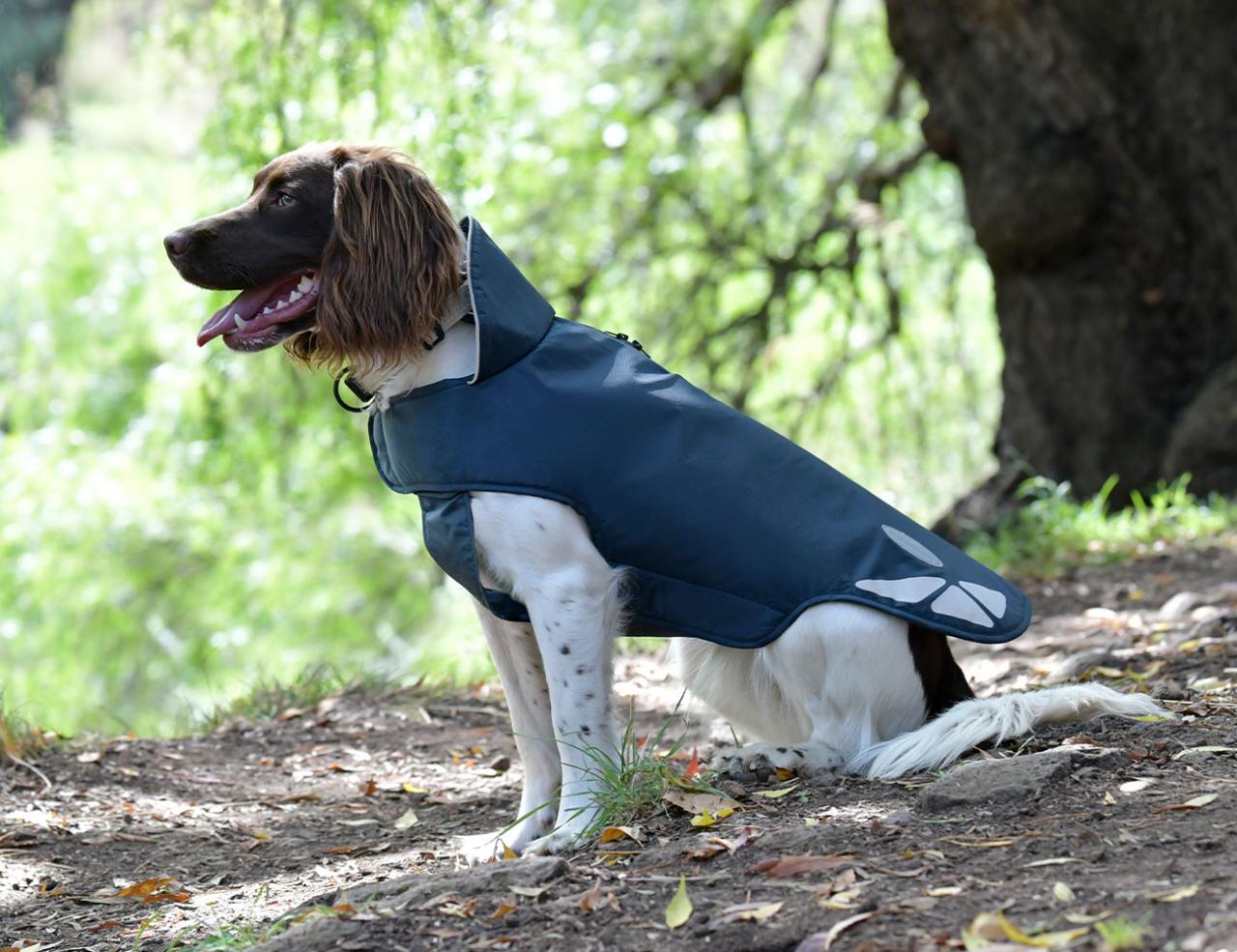 Weatherbeeta explorer lite dog coat