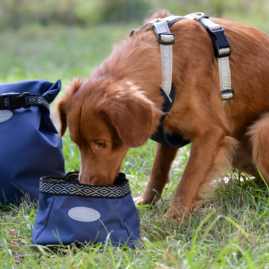Weatherbeeta explorer dog water/feed bowl