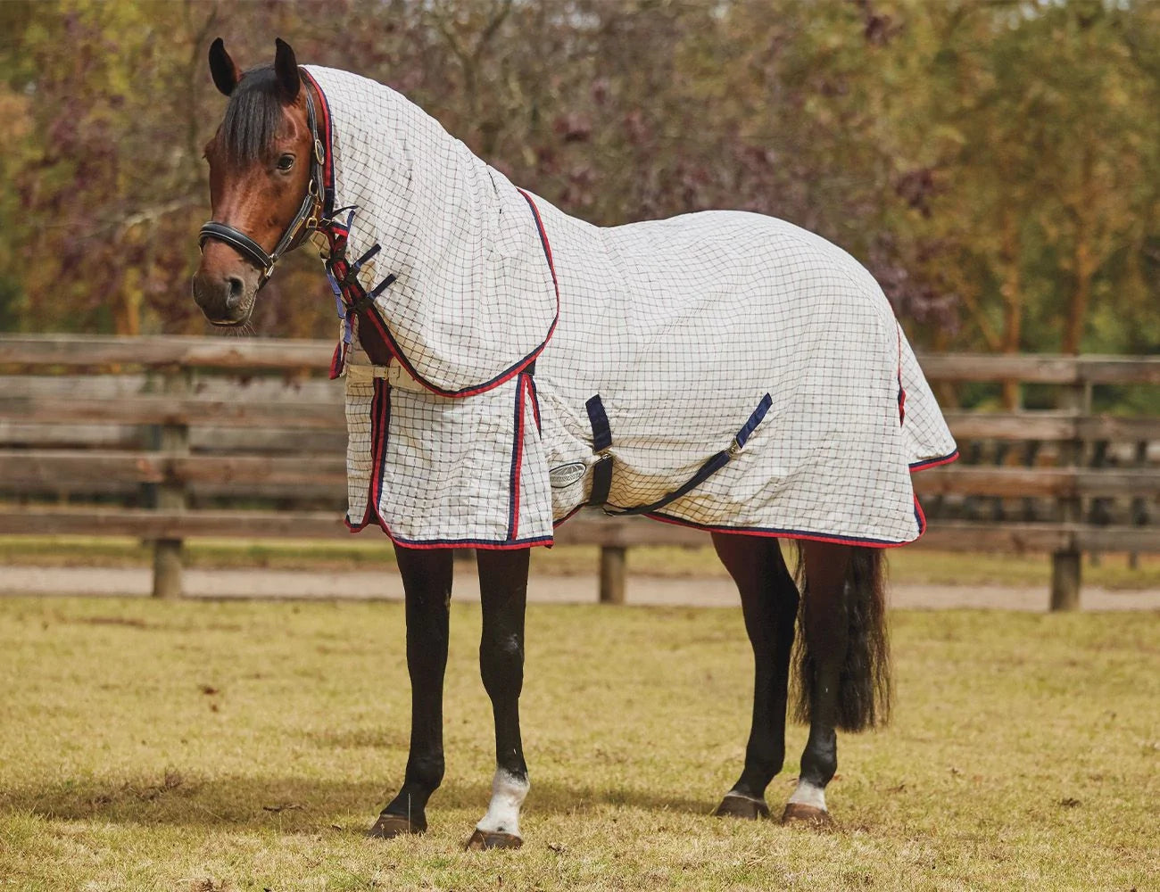 WEATHERBEETA Cotton summer sheet lite detach-a-neck combo