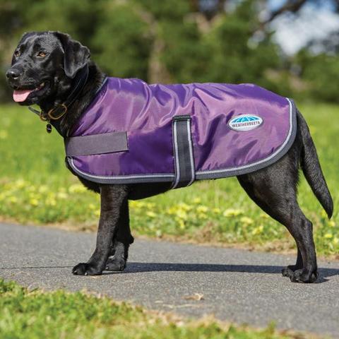 WEATHERBEETA 420D Windbreaker