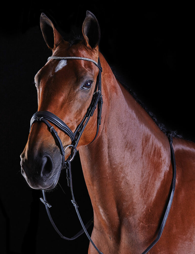 COLLEGIATE Crystal crank Bridle