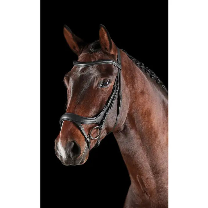 COLLEGIATE ComFitec Vogue Anatomical Bridle