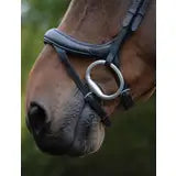 COLLEGIATE ComFitec Vogue Anatomical Bridle