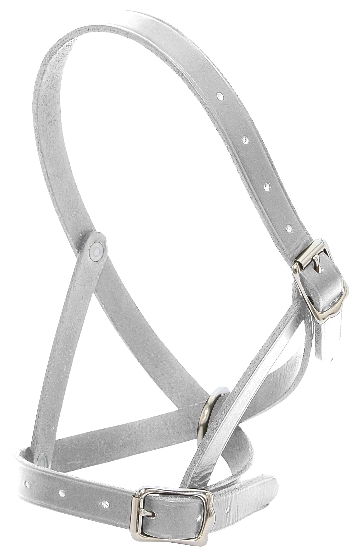 Leather Calf Halter – Marlborough Equestrian Barn