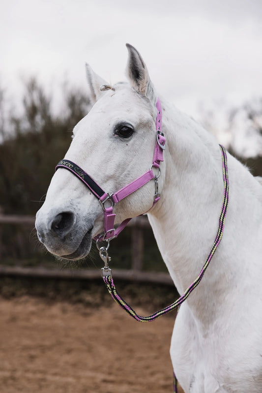 HORZE Graffiti Halter Set