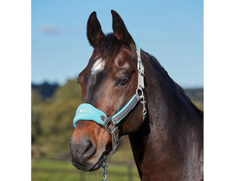 Weatherbeeta Prime Plus Headcollar and Lead