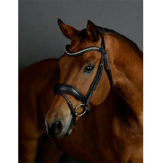 COLLEGIATE ComFitec Opulux Padded Dressage Bridle