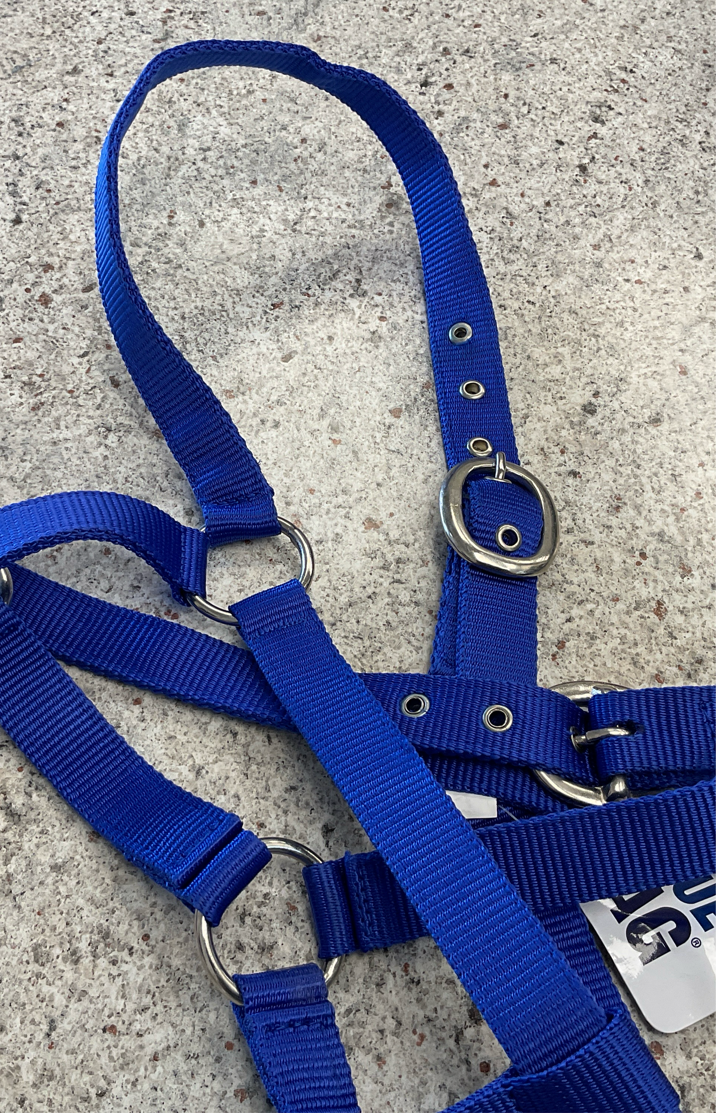 BLUE TAG Web halter’s