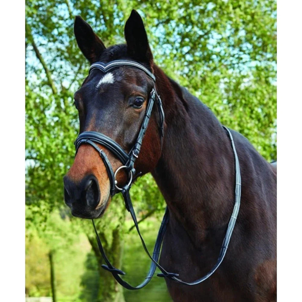 KINCADE Deep V Crystal Bridle