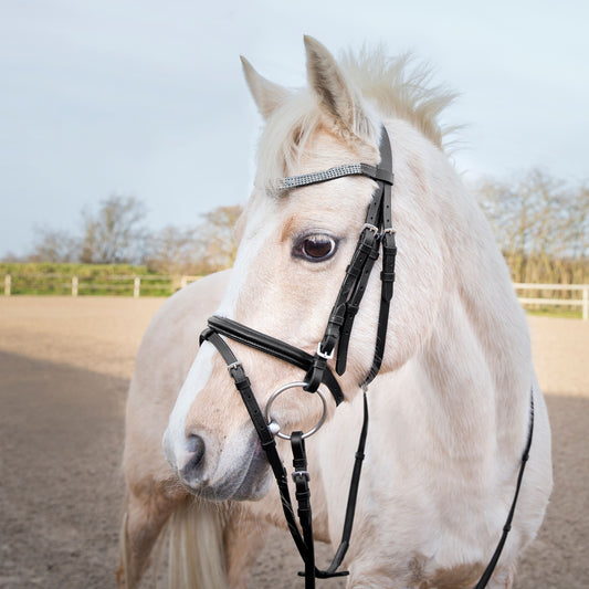 HORZE Pony Bridle