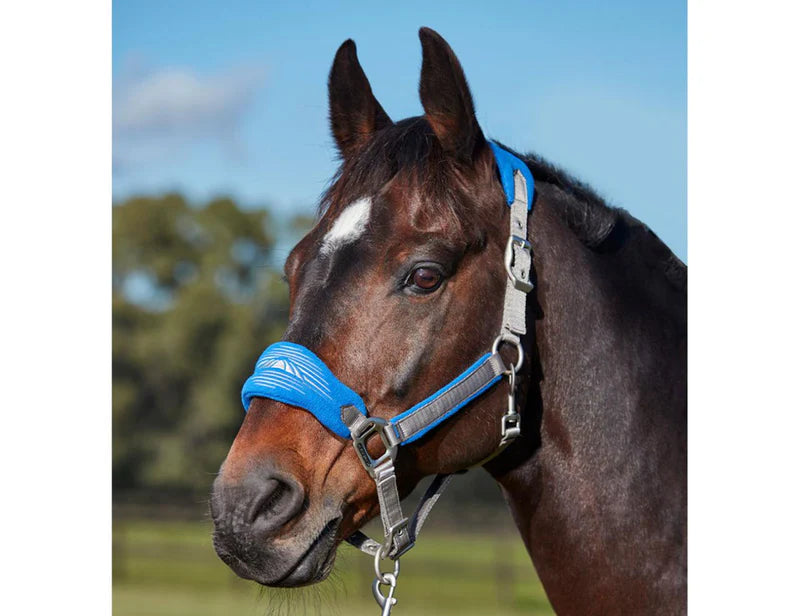 Weatherbeeta Prime Plus Headcollar and Lead