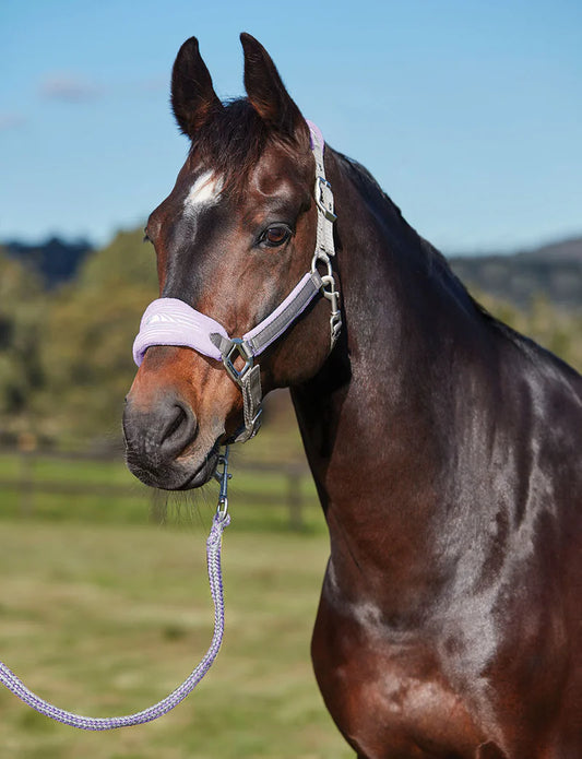 Weatherbeeta Prime Plus Halter and Lead