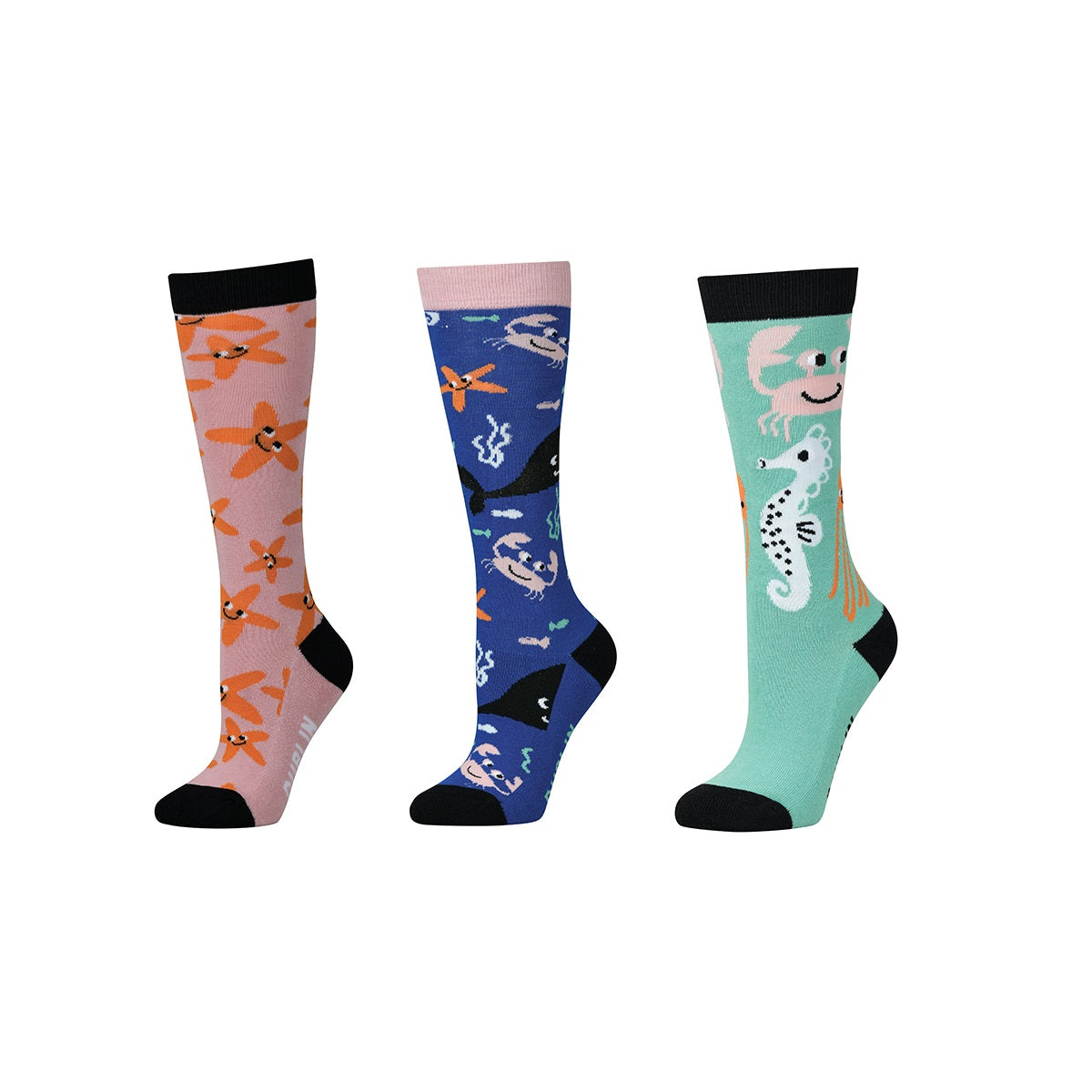 Dublin 3 Pack Childs Socks - Aquatic