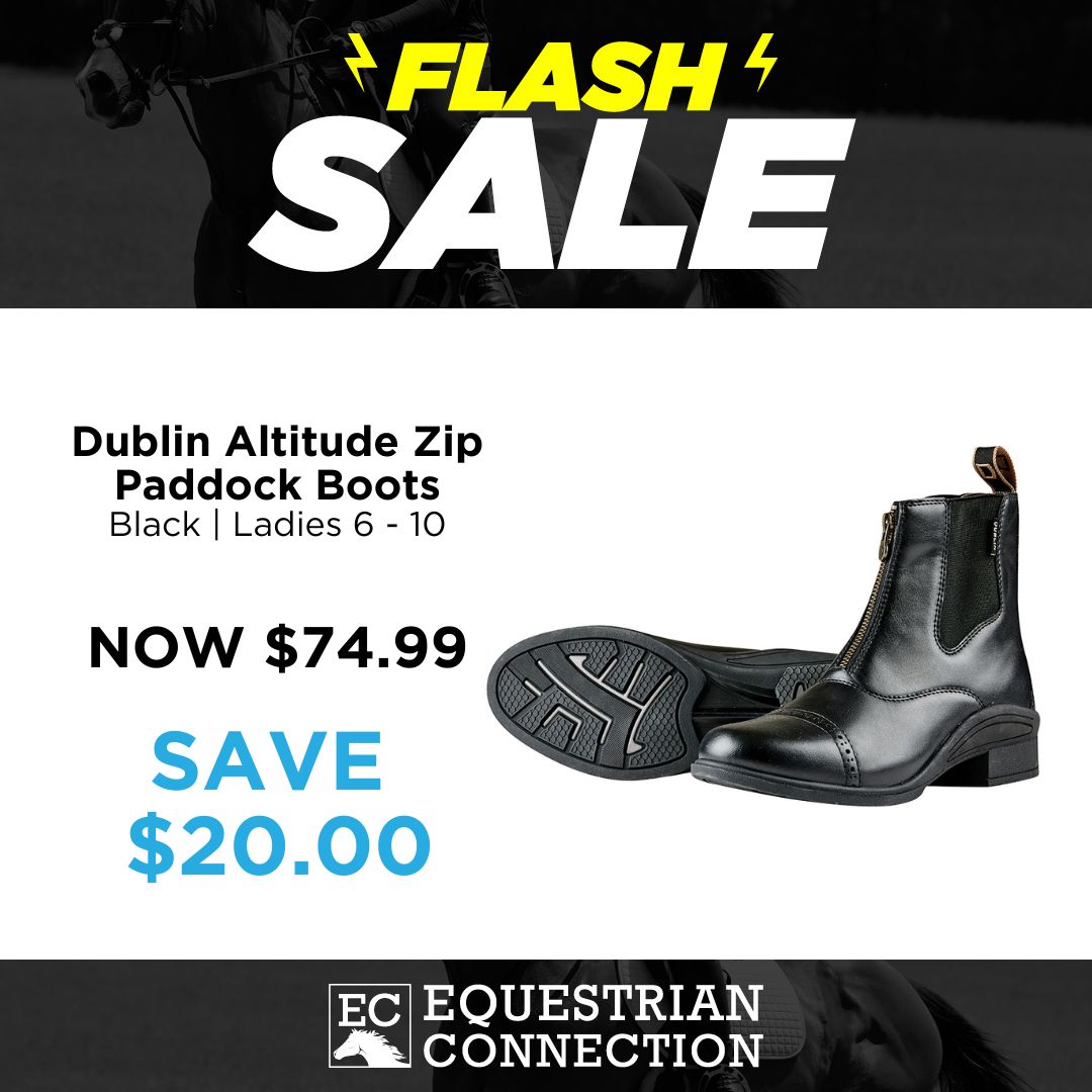 DUBLIN Altitude Zip boots