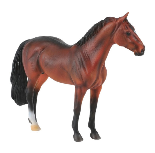 Collecta Hanoverian bay stallion