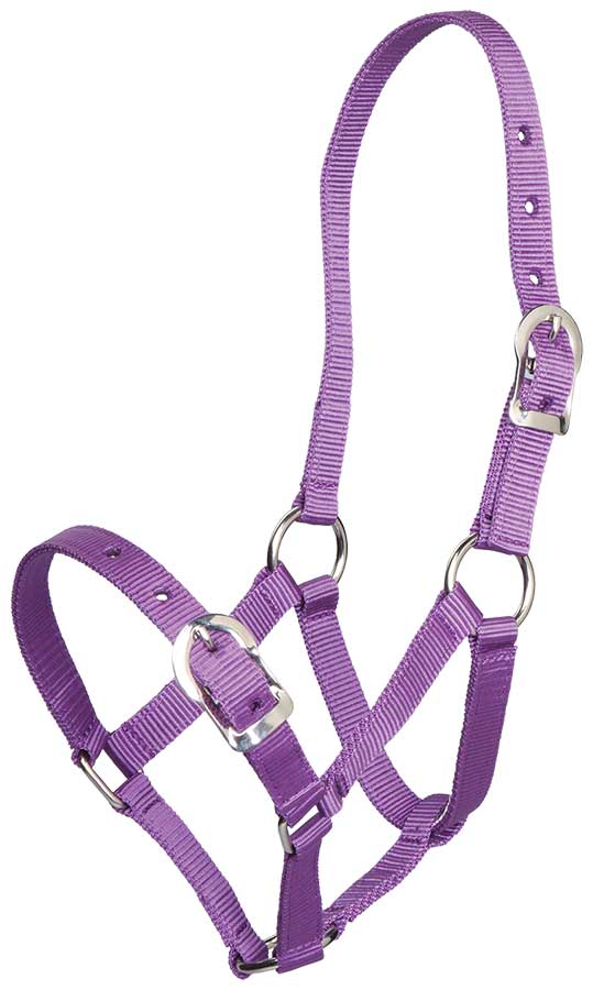 ZILCO Small Pony Halter