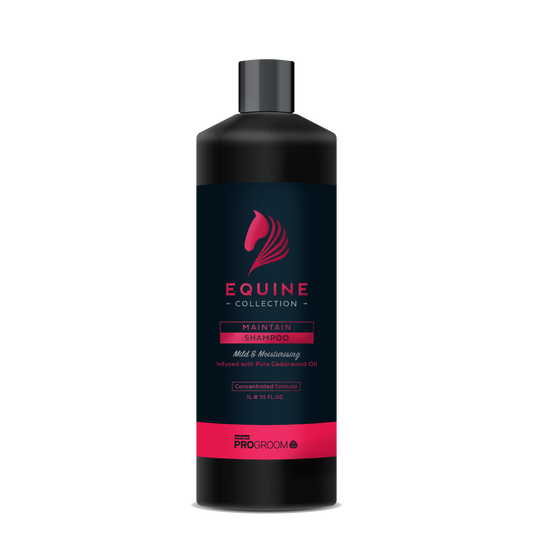 ProGroom Equine Maintain Shampoo -Concentrated