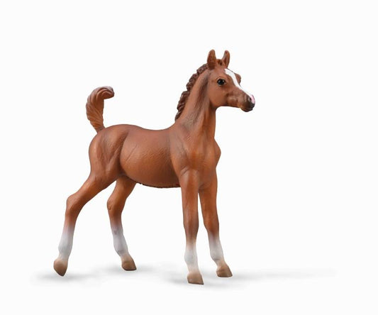 Collecta Arabian Chestnut Foal