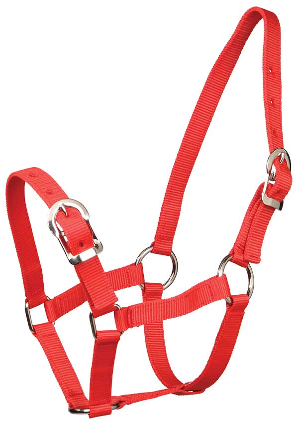 ZILCO Small Pony Halter