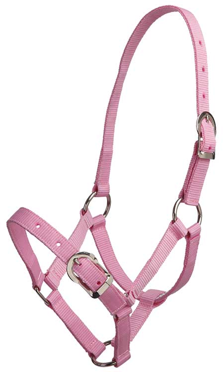 ZILCO Small Pony Halter