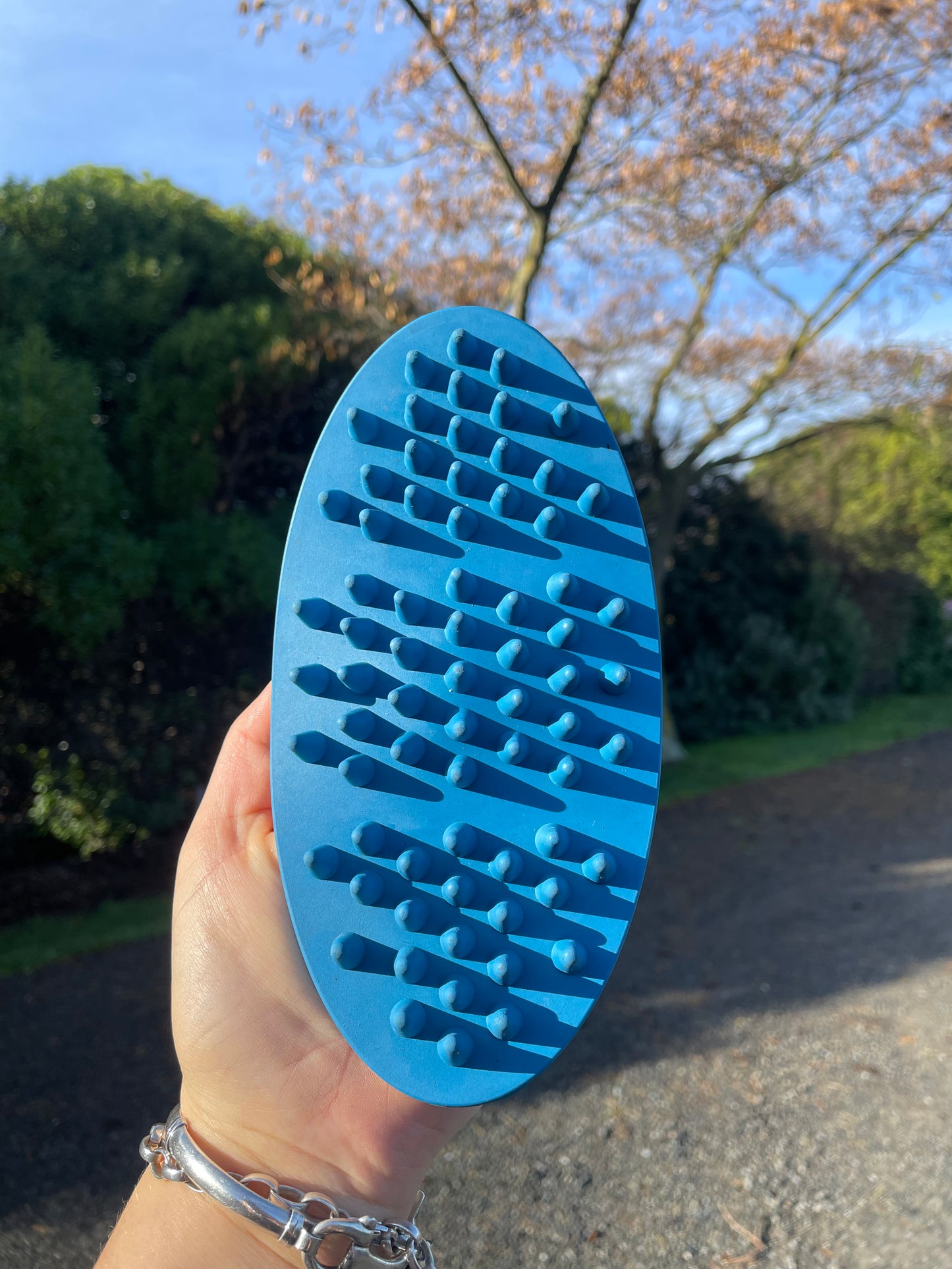 FLAIR Flexi grooming brush