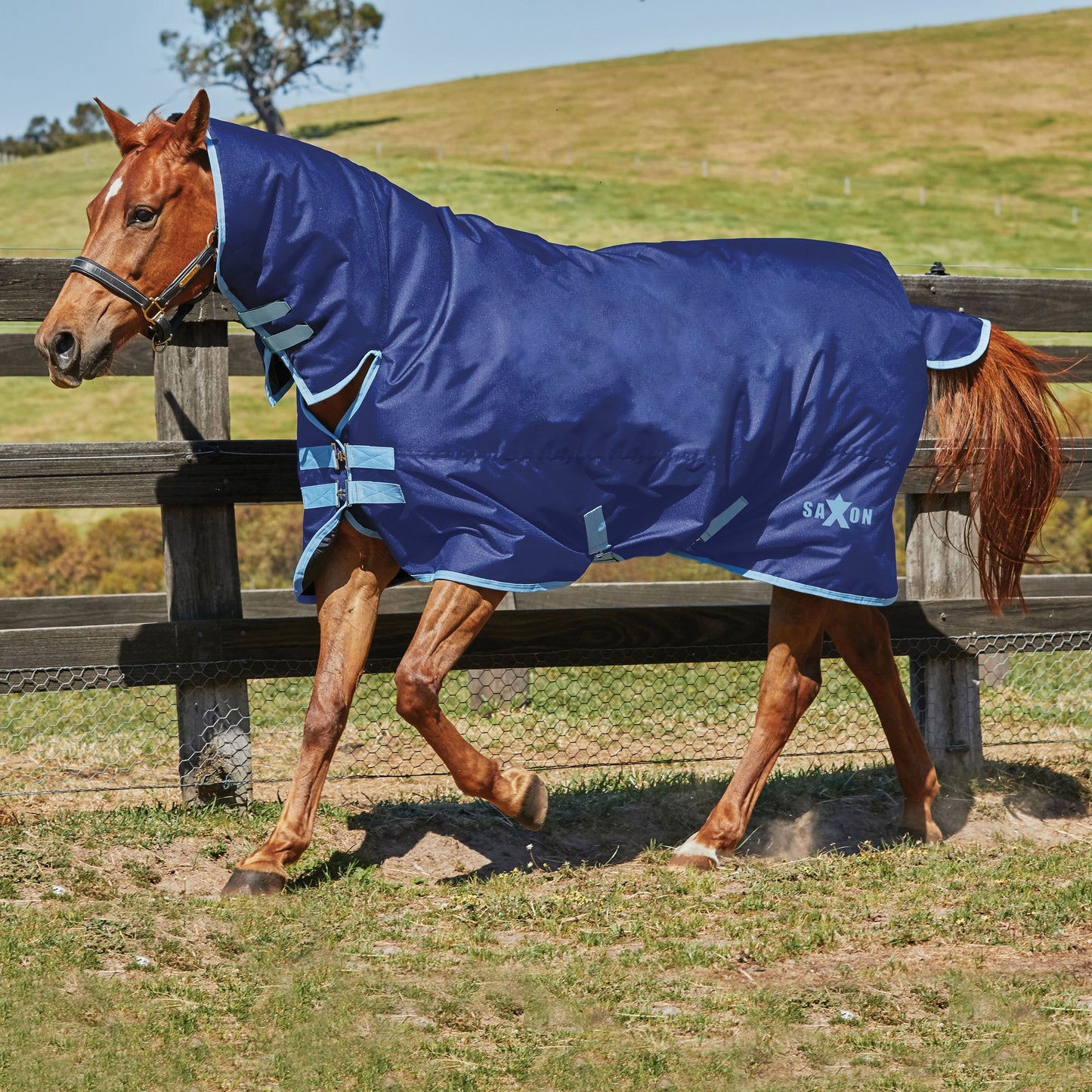 SAXON 600D 180g fill rug