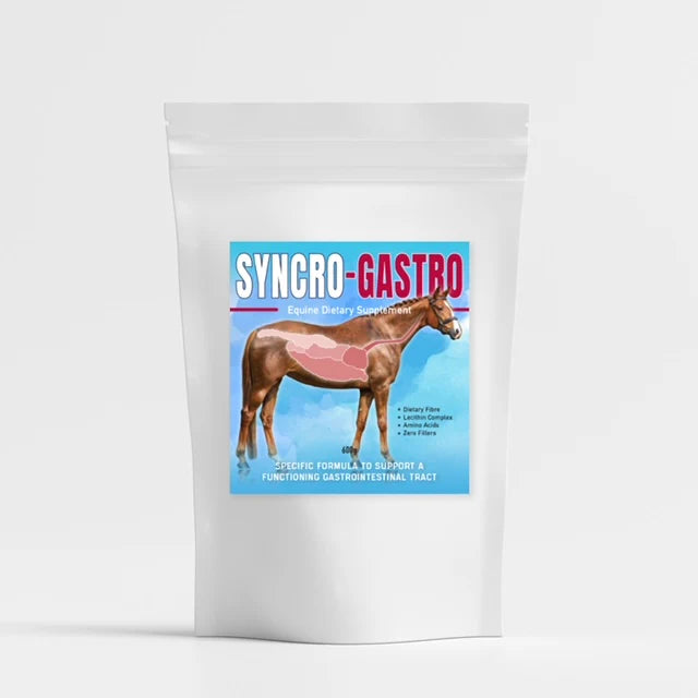 SYNCROFLEX - Syncro-Gastro