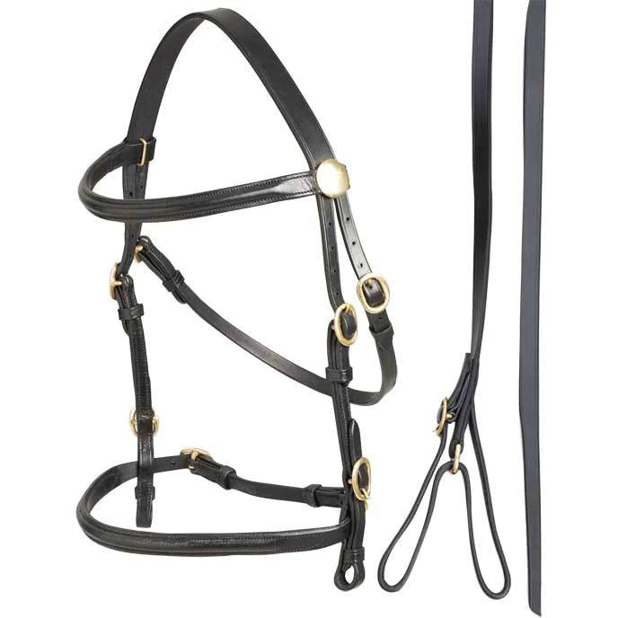 ZILCO Inland show bridle