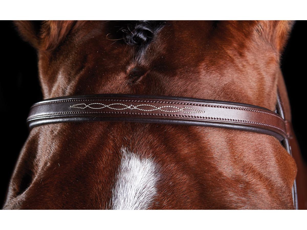 COLLEGIATE COMFITEC TRAINING BRIDLE – Marlborough Equestrian Barn