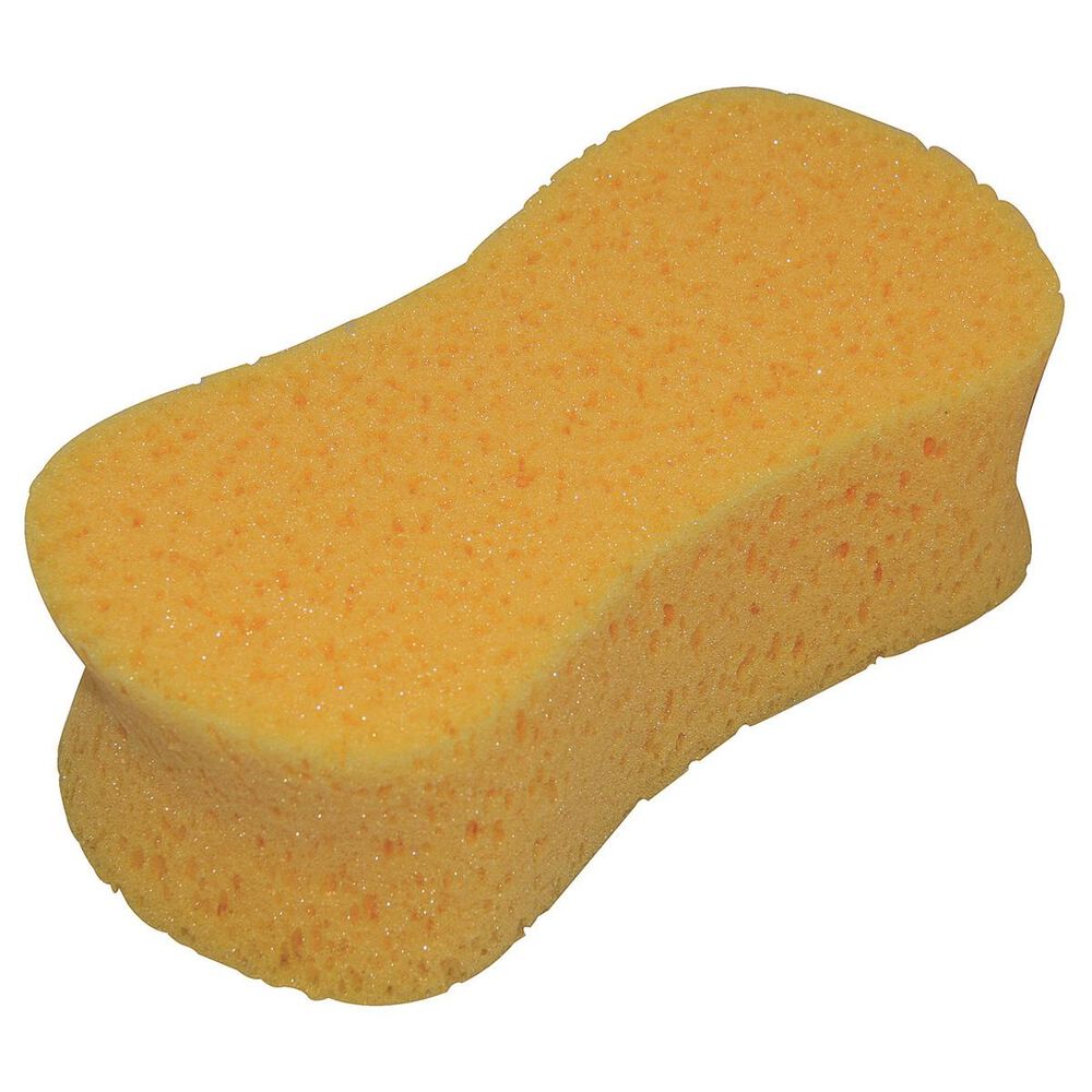 Sponges-Small - Medium - Large