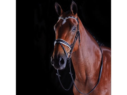 COLLEGIATE PEARL FLASH BRIDLE