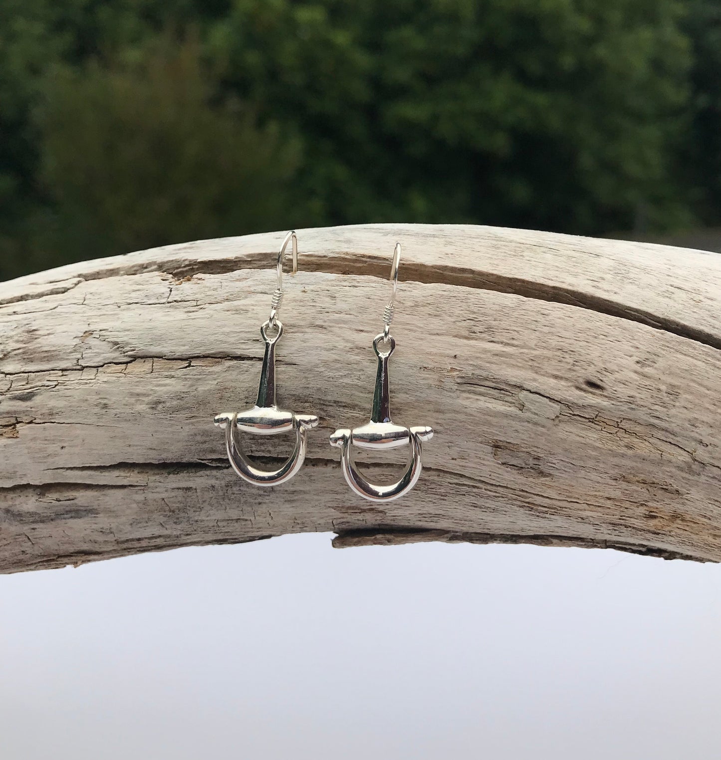 Snaffle Hook Earrings