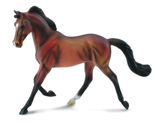 Collecta Bay thoroughbred horse